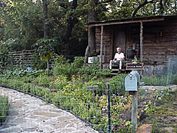 Bud in American Garden